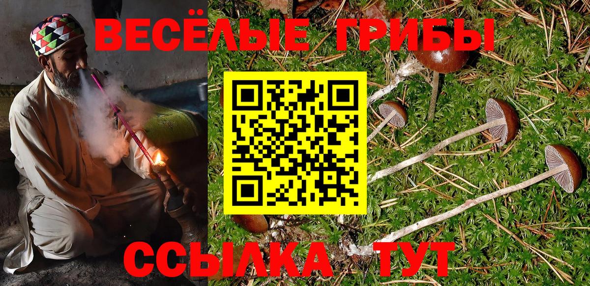 Псилоцибиновые грибы GOLDEN TEACHER  Галлюциногенные грибы Psilocybe  продажа наркотиков  Крымск  Вход с VPN 