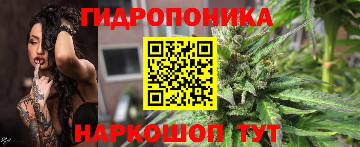 Шишки марихуана White Widow  Вход с VPN  Бошки Шишки OG Kush  Крымск 